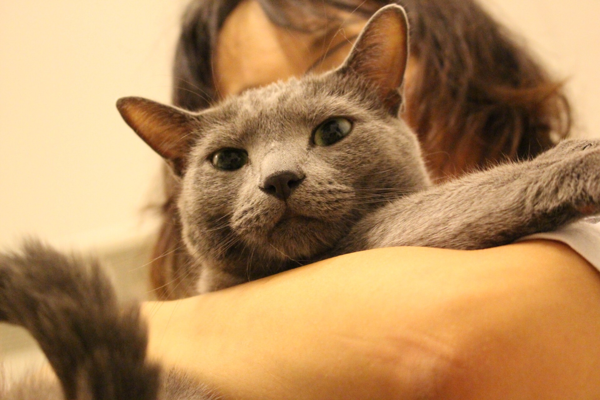 むーたんと一緒に鯖の干物を食べました ねころぐ にゃんごくlife クアラルンプール Powered By ライブドアブログ むーたんと一緒に鯖の干物を食べました ねころぐ にゃんごくlife クアラルンプール Powered By ライブドアブログ