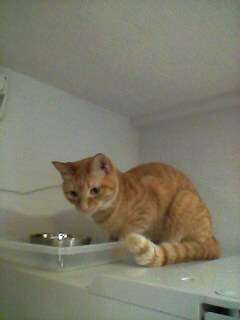 {74EE8C6A-A0E8-43E5-BC0F-34D664DA33E1:01}