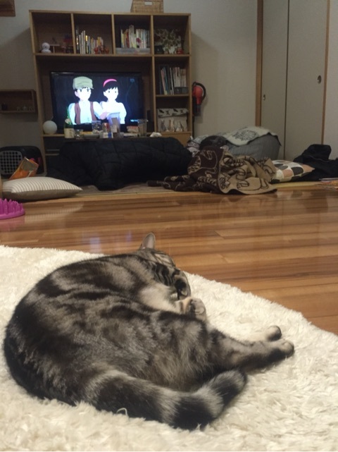 {D2BF53CE-6E2B-4F3D-B2CF-8FEF2B271BEE:01}