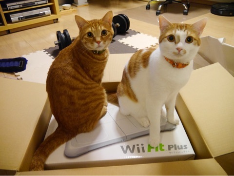 {C07E386D-4AE2-40E5-842B-6E7552170984:01}