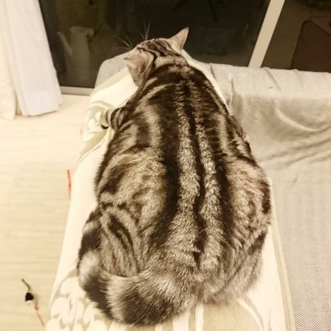 IMG_20171229_075939_963