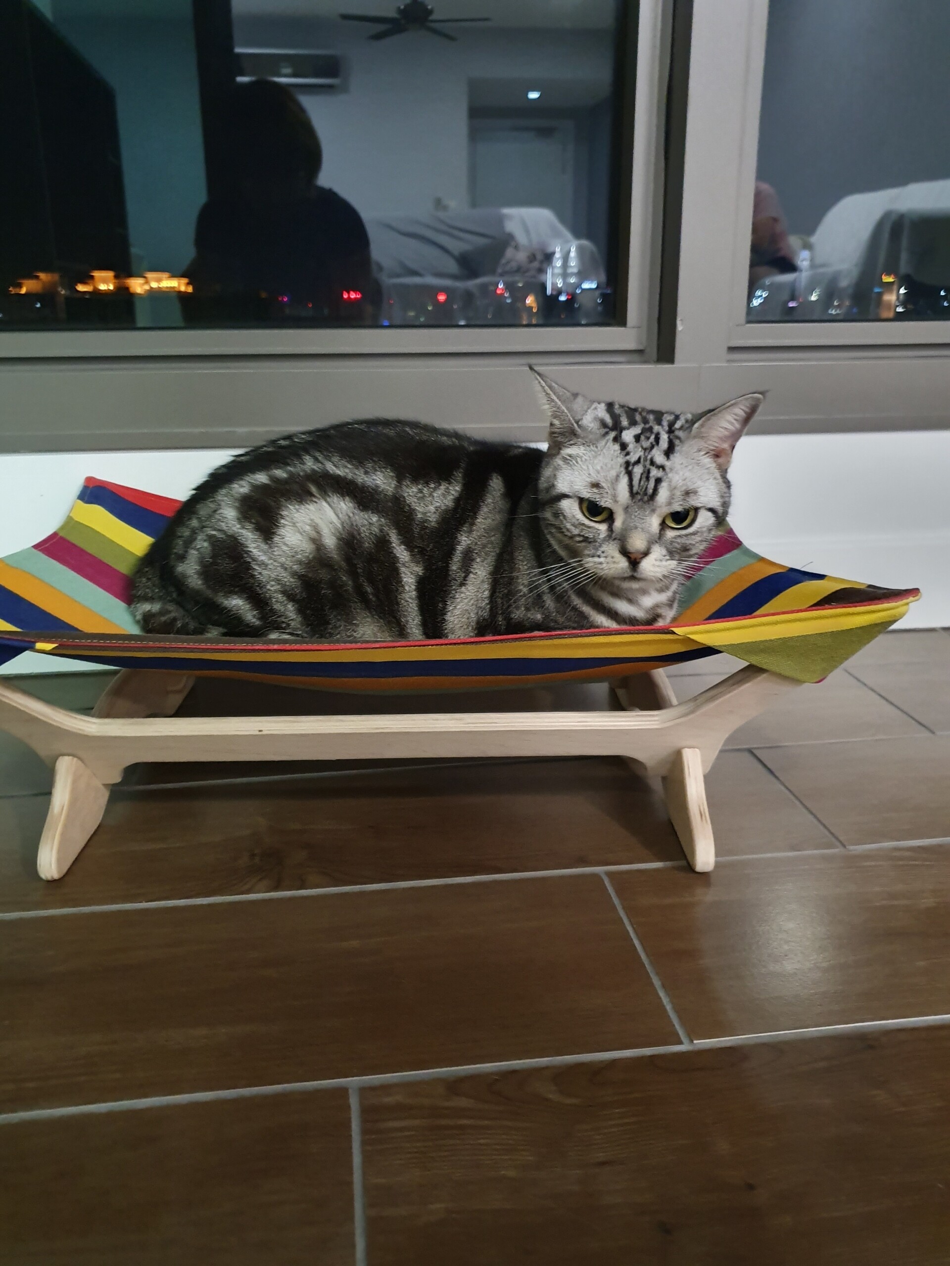 にゃおにゃおにゃんにゃんにゃん ライブドアブログstyle で紹介していただきました ねころぐ にゃんごくlife クアラルンプール Powered By ライブドアブログ