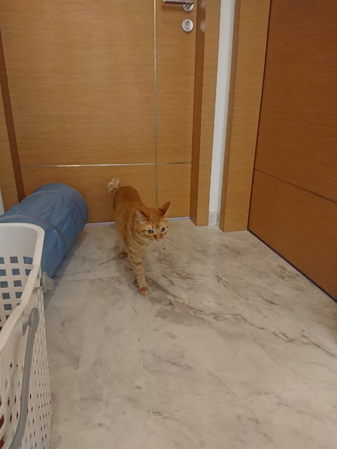 [画像:31253840-s.jpg]