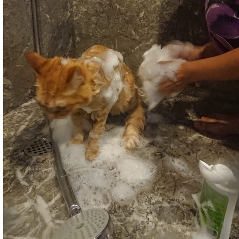 18-08-24-08-50-50-031_deco