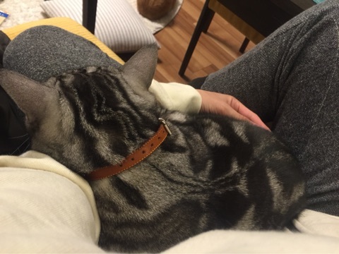 {CEF75CB8-14DF-476D-AB3D-CDC51E770FAA:01}