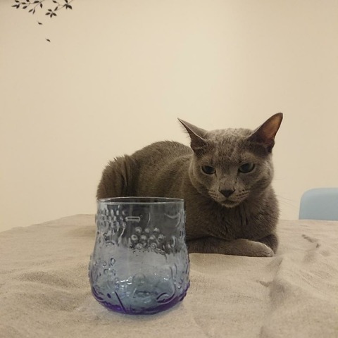 [画像:337a23ed-s.jpg]