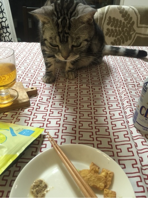 {DA60BF67-2141-4099-BA49-E1C6536EB470:01}