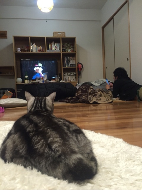 {8E4C9DD6-DC80-48D1-AB53-8405874D52D0:01}