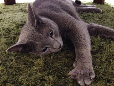 {CE256D59-463C-4E97-8492-3CEF00FB095D:01}