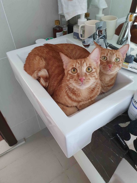 FullSizeRender
