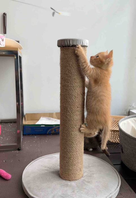 FullSizeRender