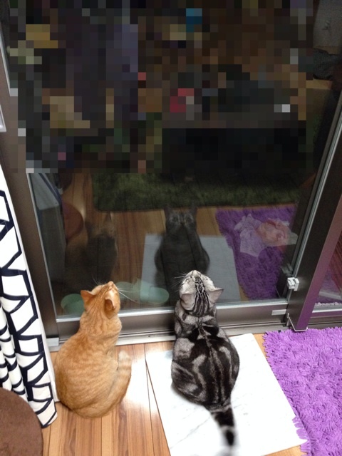 {F4485F92-FA8A-4890-9F18-FBE59AB11D53:01}