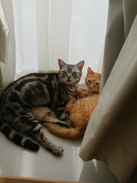 DSCPDC_0001_BURST20171220112132873