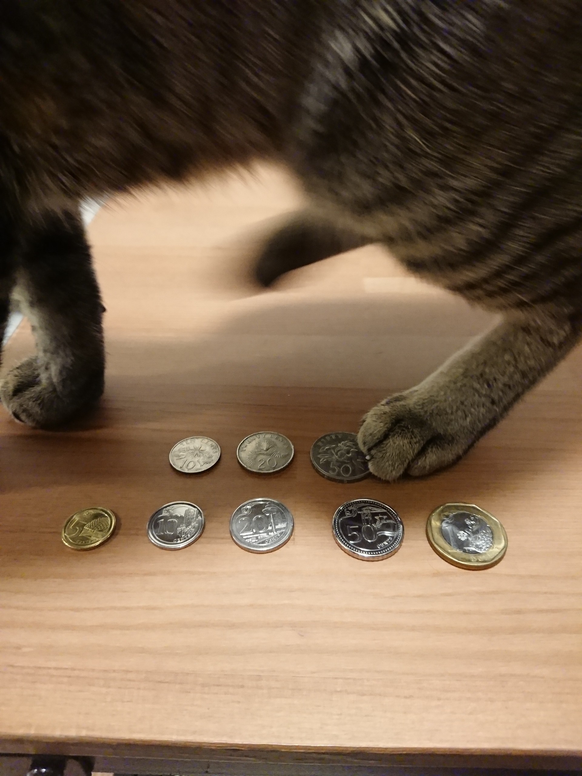 お財布リレー ミニ財布の使い心地 ねころぐ にゃんごくlife クアラルンプール Powered By ライブドアブログ