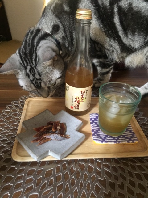 {1283303E-E2DA-4E9E-B97F-9183C082944F:01}