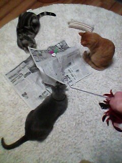 {64443D81-E68D-4E3E-8EB8-54DF50DDC32A}