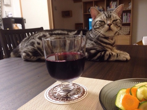 {8F39C830-FF42-4AB8-87FA-AD7B48CA42C2:01}