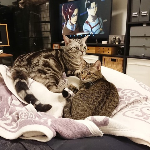 IMG_20190419_084857_455