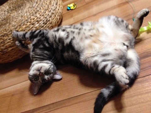 {EE52D7B9-50E4-498E-B6F8-AAF09CD814A5:01}