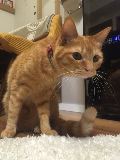 {B7DC9097-1CAE-4B22-B82C-C6A3B1D73E36:01}