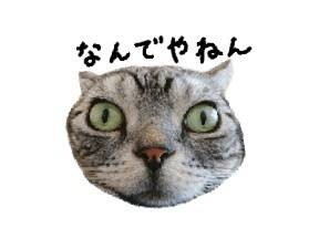 1577420801495