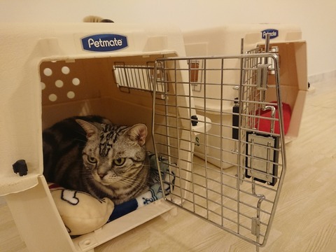 [画像:39d1f6d4-s.jpg]