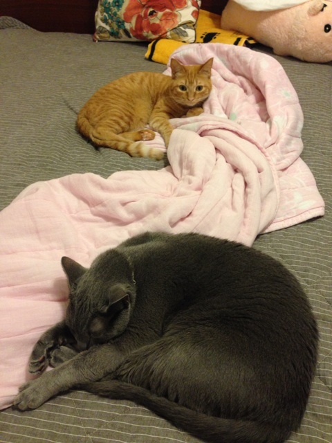 {95BED8DC-40F5-4124-A3C5-E23A1B0C20E4:01}