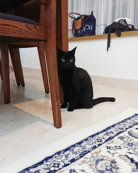 IMG_20190618_145204_307