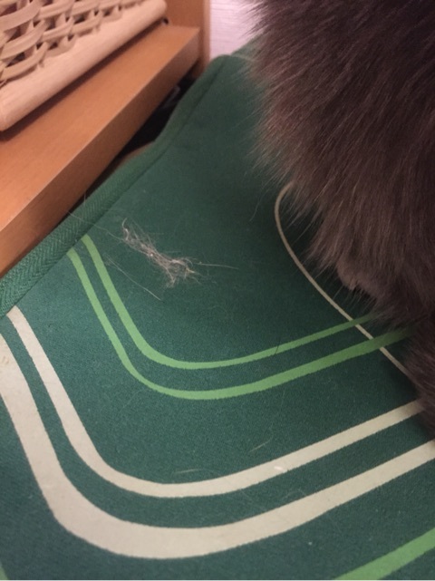 {BB52285F-DD97-4FD9-9ACF-278F5FF580C7:01}