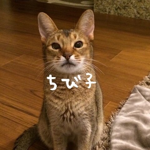 {A19D439F-4CAC-4E1E-B60B-BCB3EB353545:01}