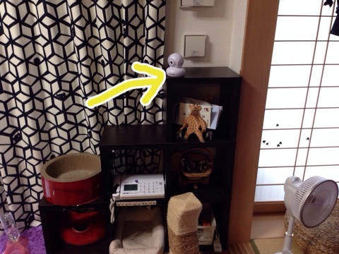 {89360622-9163-4347-8AC8-49A0AFDAAFB0:01}