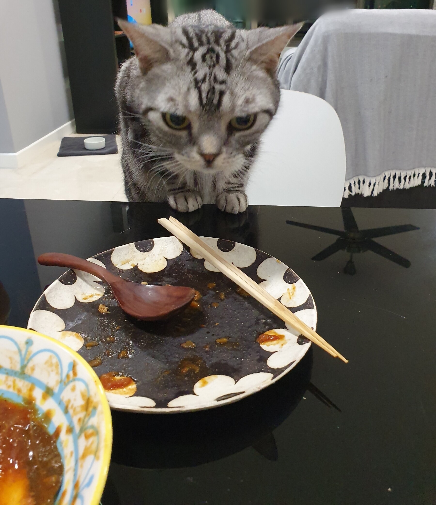 カレーとナンと、カレーを狙う猫と跳ぶ猫 : ねころぐ ～にゃんごくLife 