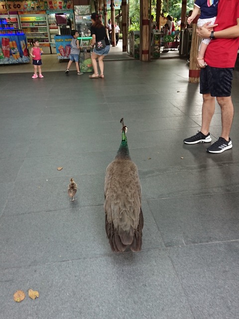 19-01-11-11-08-43-393_deco