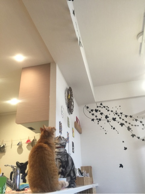 {9860D940-B500-4BDB-A282-E3904F77791C:01}