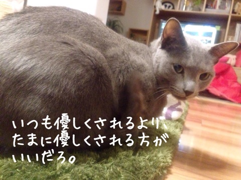 {9B9A6A98-969C-41E6-BB1B-191FD06C618A:01}