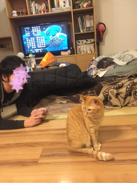 {F199A2A3-E9C2-4AB2-8052-009413060EE0:01}