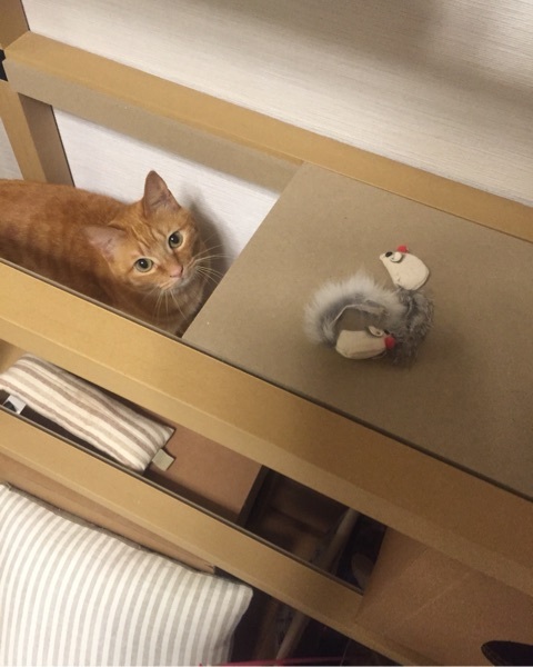 {95D435DC-80C1-4F66-8DF3-F05DF829EFD1:01}