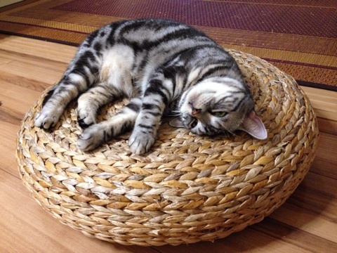 {3F08941D-BB13-4EE7-94A6-A6D548F861F8:01}