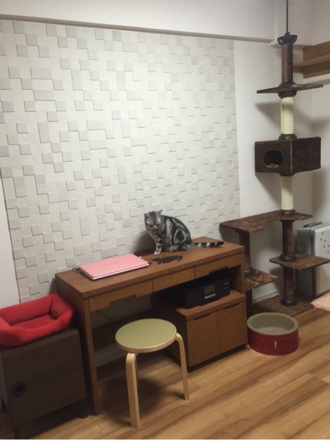 {51CA3381-CD8C-4D79-A3CE-01FA6F8084F8:01}