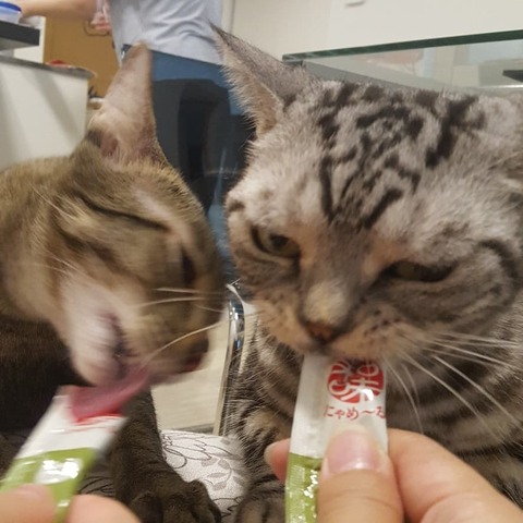 IMG_20181222_110231_188