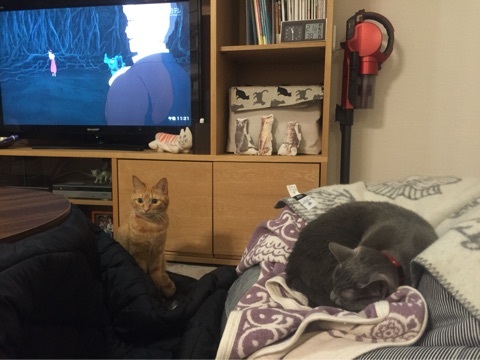 {7F12660F-3FA9-4DCB-859A-6E4324D56B50:01}