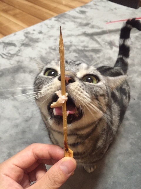 {A697FF5F-A334-46BB-B31F-EDAEAF0B87AC:01}