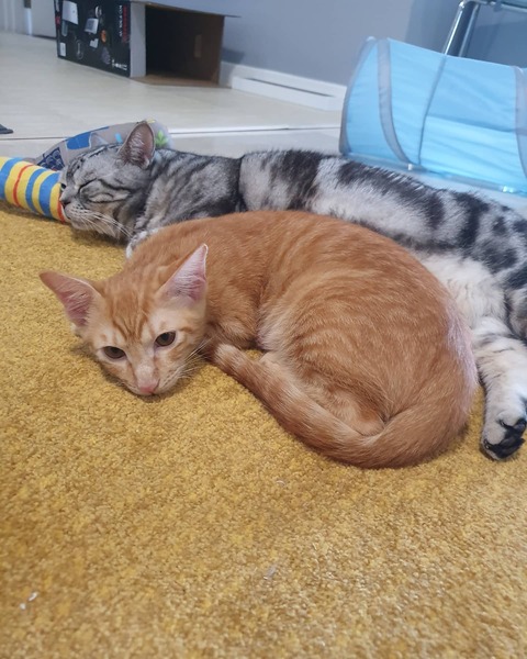 IMG_20200814_085532_405