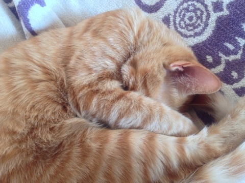 {EB45FD66-780E-4081-9B77-7E4252DB968D:01}