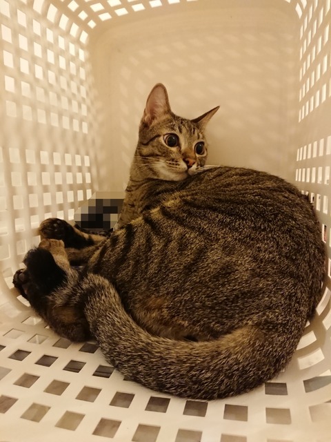 Point Blur_20180716_203618