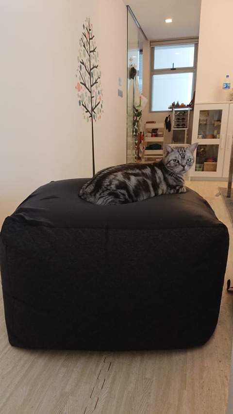 IMG-20180804-WA0000