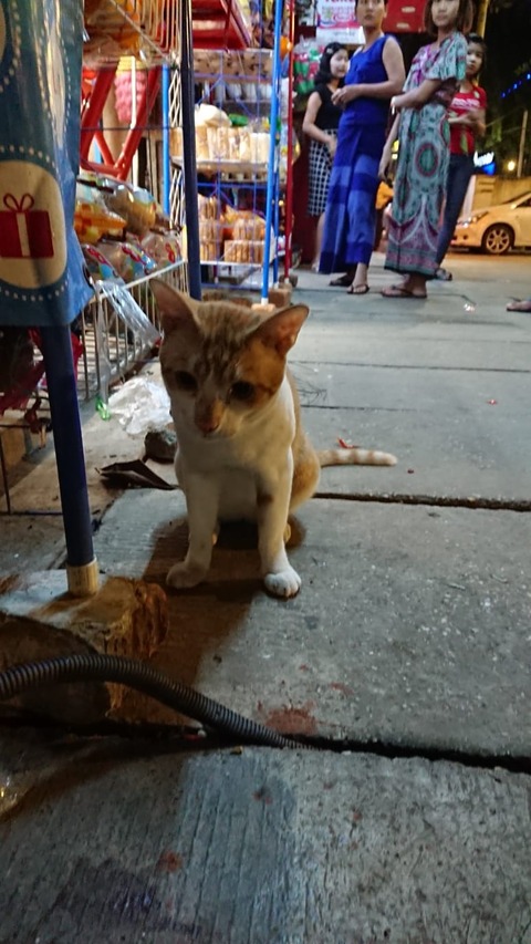 IMG-20190921-WA0068