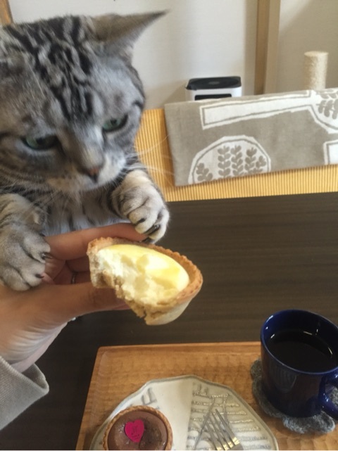 {23928C2E-76BA-4F92-BC29-A65C940598D8:01}