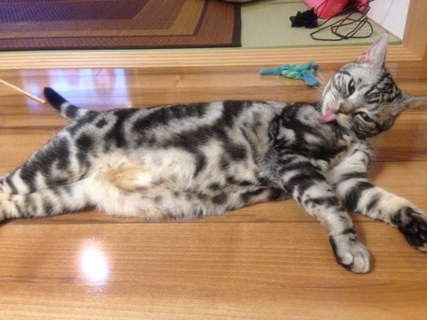 photo:01