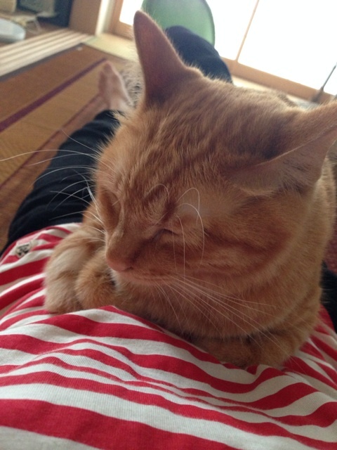 {CE24D456-AA57-47EB-B472-6C1E06A76EEC:01}